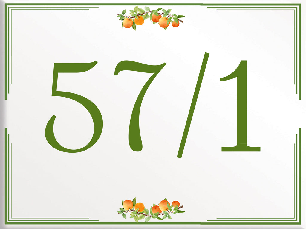 Custom House Number - Personalized House Number - X6
